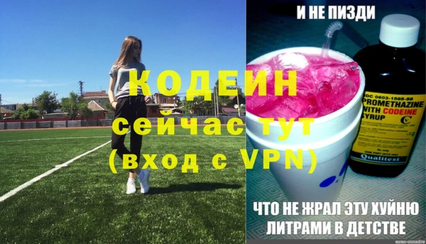 индика Балабаново