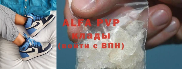 ПСИЛОЦИБИНОВЫЕ ГРИБЫ Арсеньев