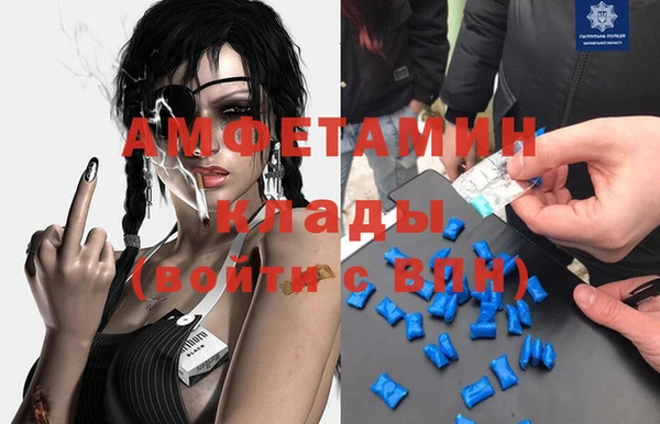 ПСИЛОЦИБИНОВЫЕ ГРИБЫ Арсеньев