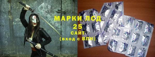ПСИЛОЦИБИНОВЫЕ ГРИБЫ Арсеньев