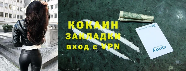ПСИЛОЦИБИНОВЫЕ ГРИБЫ Арсеньев