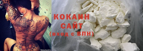 ПСИЛОЦИБИНОВЫЕ ГРИБЫ Арсеньев