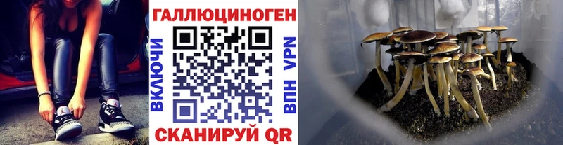 Псилоцибиновые грибы Cubensis Мышкин