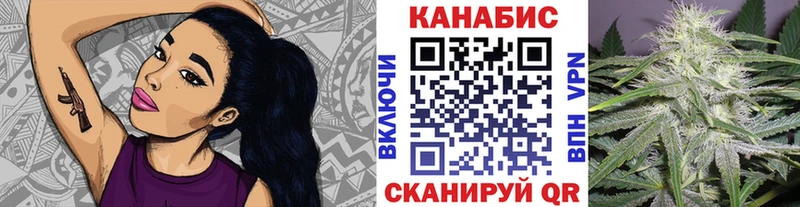 Канабис гибрид  Мышкин 